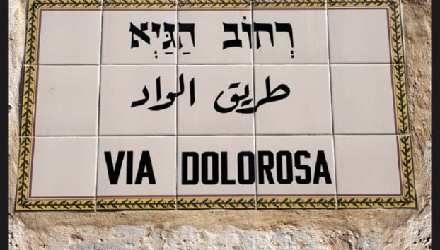 Escursione a Gerusalemme e Betlemme - Foto 5