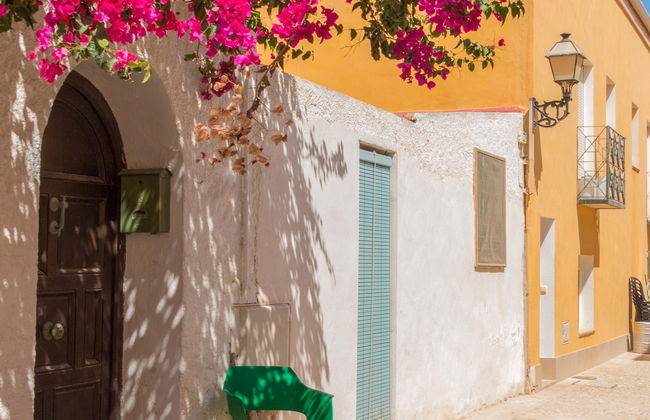 Excursión a la isla de Tabarca y el palmeral de Elche - Foto 2