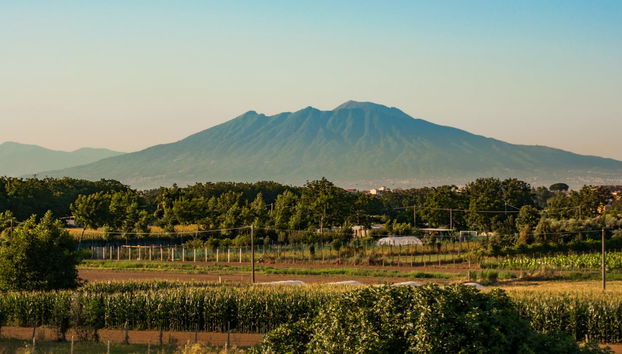 Pompeii & Vesuvius Day Trip - Foto 5
