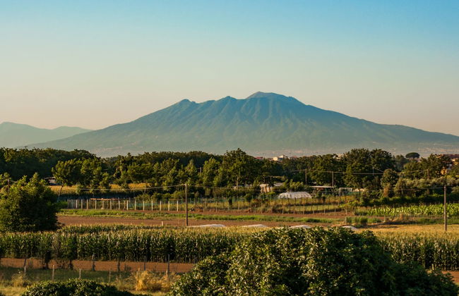 Pompeii & Vesuvius Day Trip - Foto 5