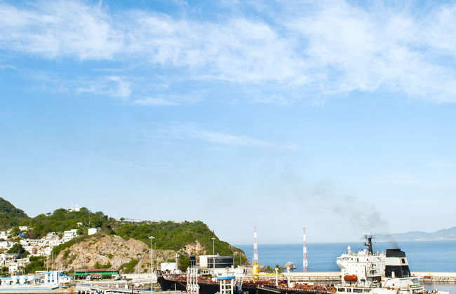 Visite dans Manzanillo - Photo 8