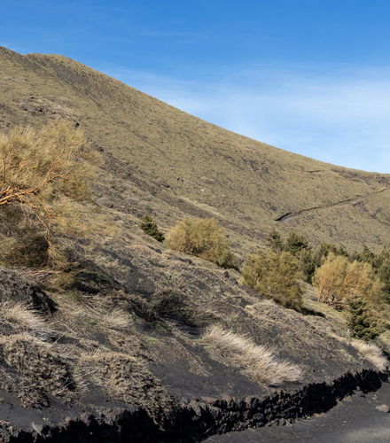 Foto de Trekking por el Etna y el valle del Bove