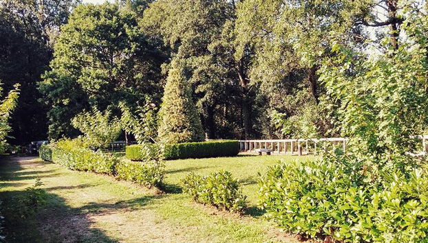 Castro de Viladonga Tour - Photo 4