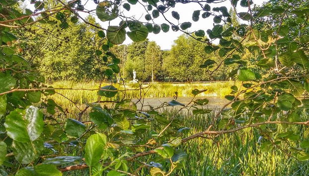 Castro de Viladonga Tour - Photo 5