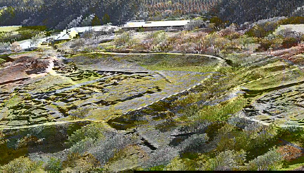 Castro de Viladonga Tour - Photo 1