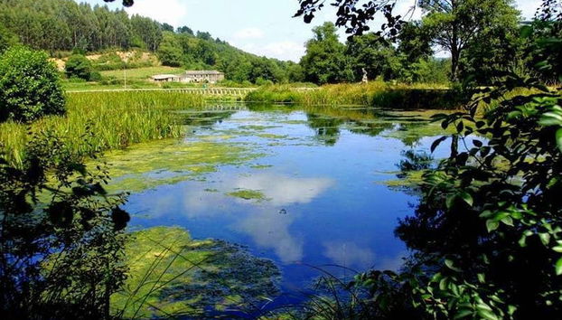 Castro de Viladonga Tour - Photo 3