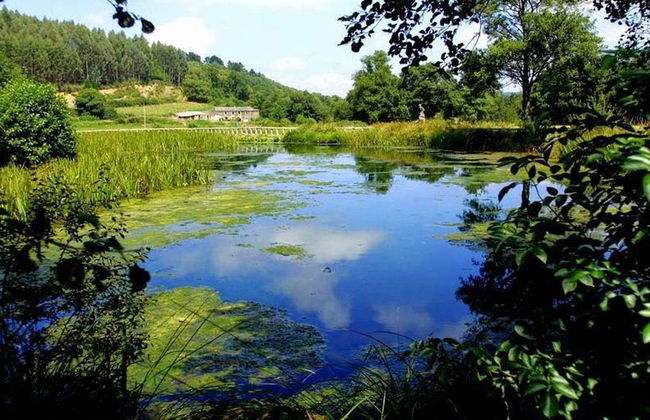 Escursione al Castro de Viladonga - Foto 3