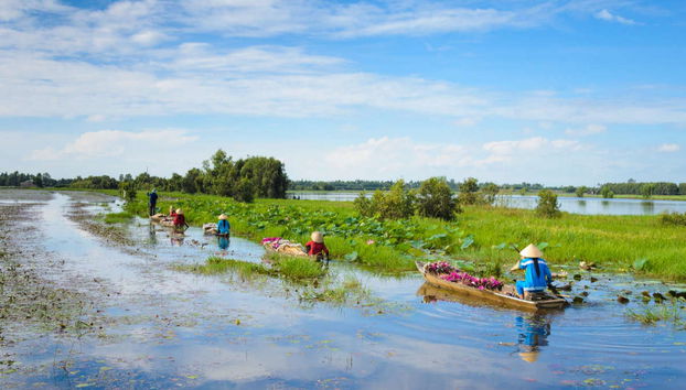 South Vietnam 5 Day Tour - Foto 3