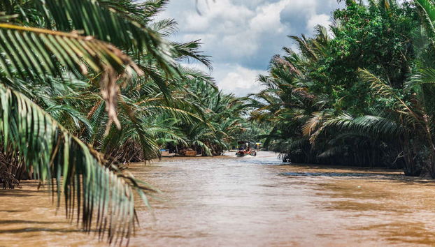 South Vietnam 5 Day Tour - Foto 5