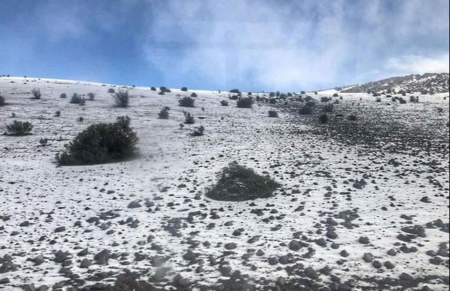Escursione al vulcano Chimborazo + Chiesa di Balbanera - Foto 3