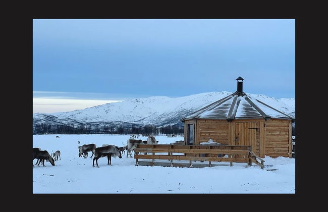 Paseo en trineo de renos y visita a un campamento sami - Foto 7