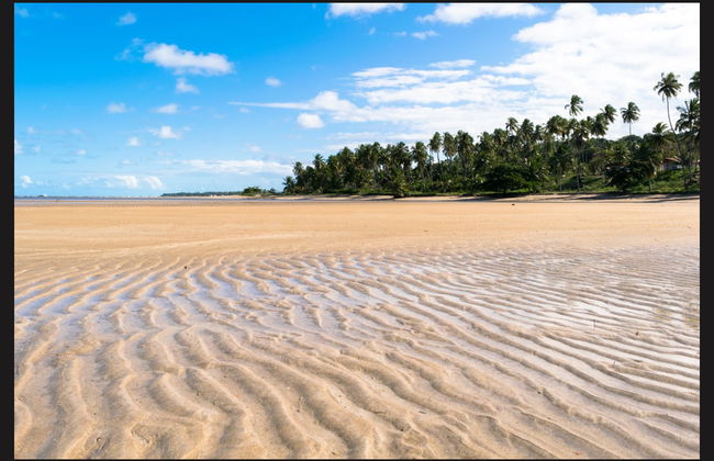 Maragogi Day Trip - Foto 1