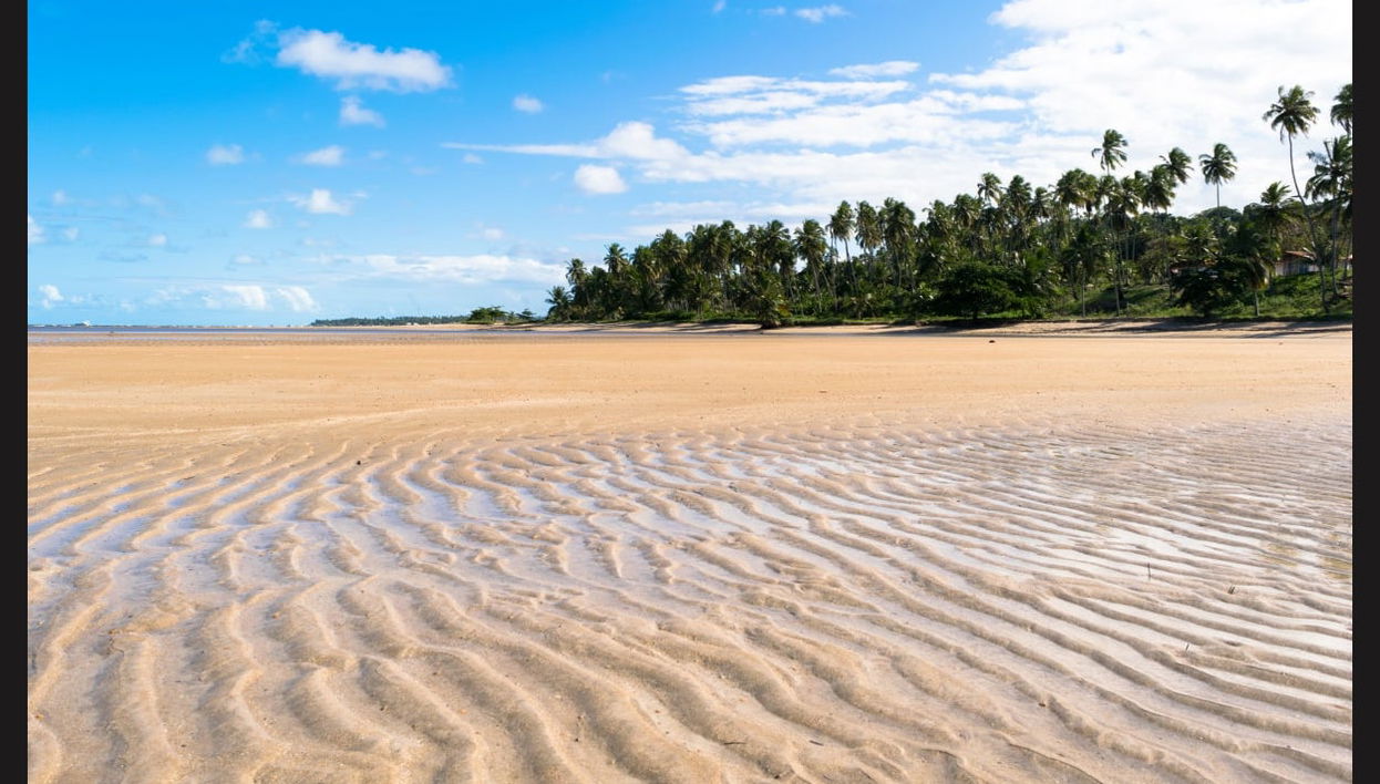 Maragogi Day Trip - Foto 1