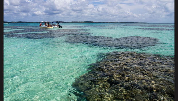 Maragogi Day Trip - Foto 2