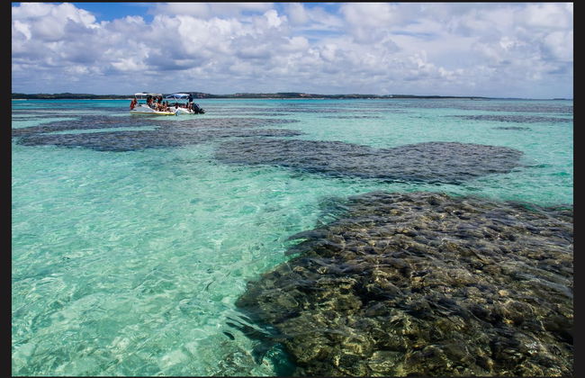 Maragogi Day Trip - Foto 2