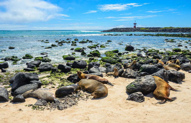 Lobos Island + Snorkeling Tour - Photo 1