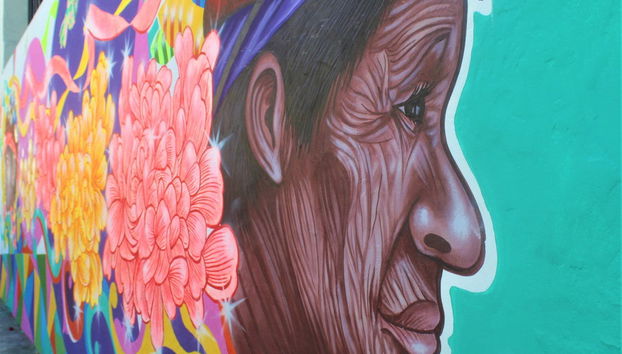 Excursão a El Tajín e Papantla - Foto 4