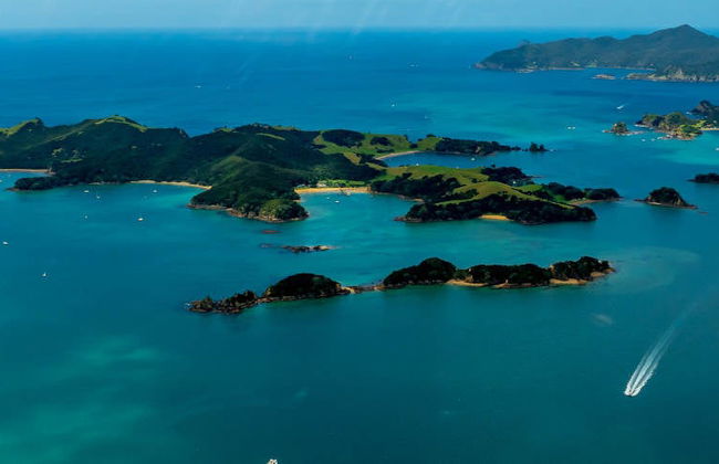 Tour en catamarán por Bahía de las Islas - Foto 6