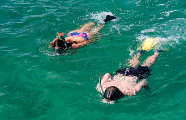 Tour en catamarán por Bahía de las Islas - Foto 5