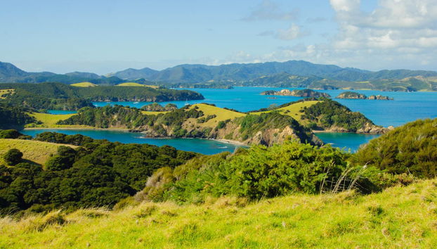 Bay of Islands Cruise - Foto 3