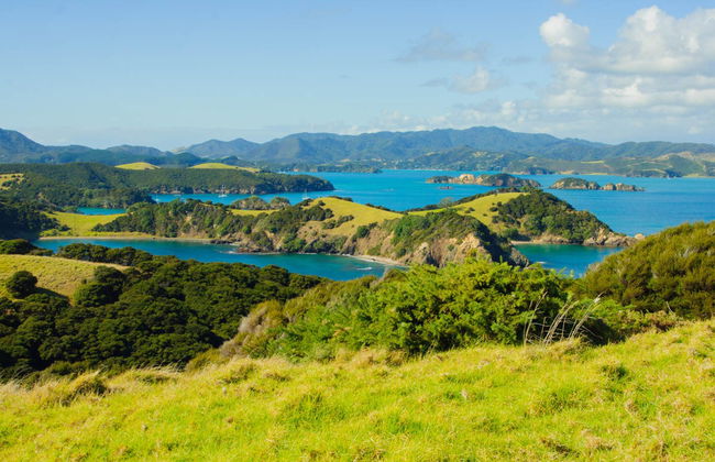 Tour en catamarán por Bahía de las Islas - Foto 3