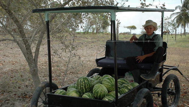 Excursión a Barton Creek - Foto 4
