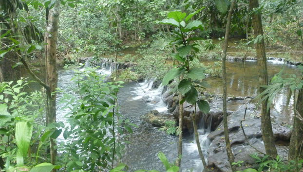 Excursión a Barton Creek - Foto 3