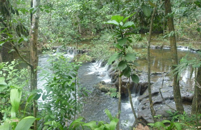 Excursión a Barton Creek - Foto 3