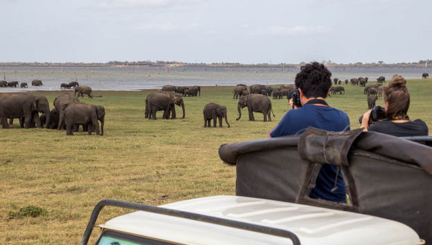 Private Kaudulla National Park Safari - Foto 5