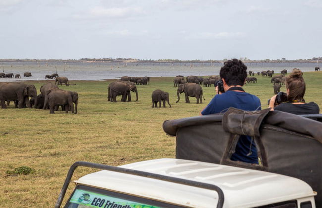 Safári privado pelo Parque Nacional de Kaudulla - Foto 5