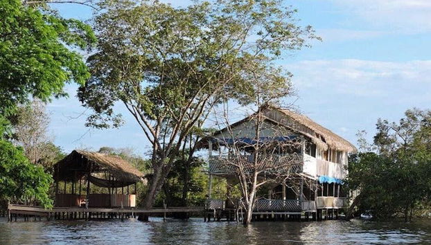 Tour pela Floresta Nacional do Tapajós - Foto 3