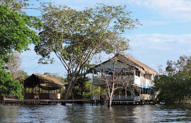 Tour pela Floresta Nacional do Tapajós - Foto 3