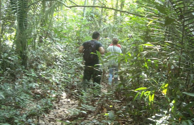 Tour pela Floresta Nacional do Tapajós - Foto 7