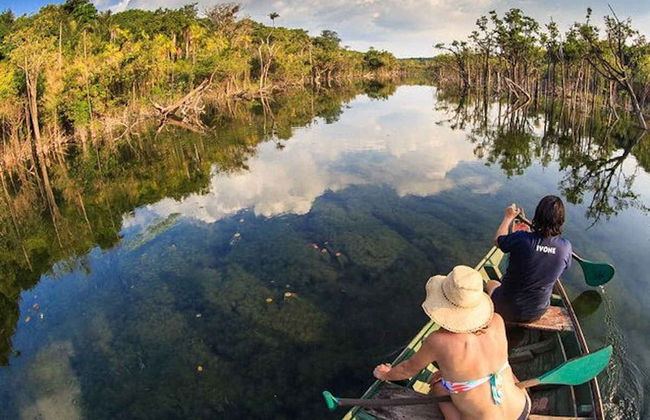 Tour pela Floresta Nacional do Tapajós - Foto 6