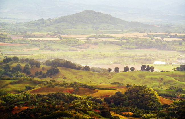 Excursão a Córdoba, Buenavista e Pijao - Foto 1