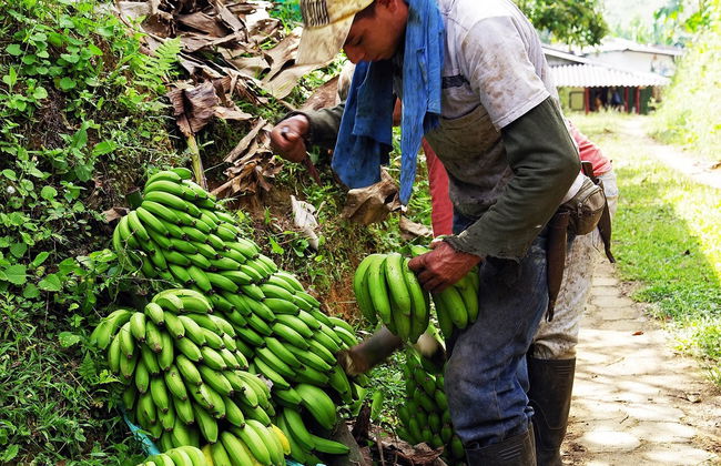 Excursão a Córdoba, Buenavista e Pijao - Foto 5
