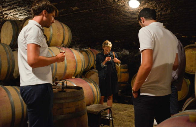 Tour del vino de Borgoña - Foto 2