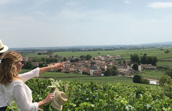 Tour del vino de Borgoña - Foto 6