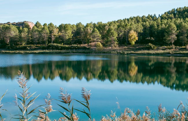 Visita guiada por las Lagunas de Ruidera - Foto 1