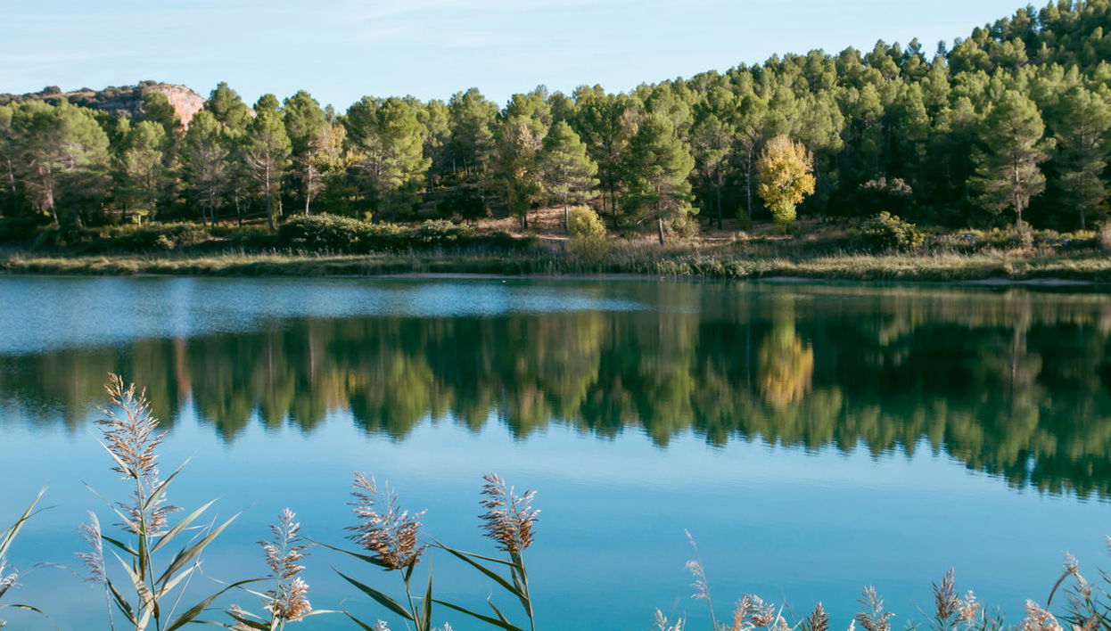 Visita guiada por las Lagunas de Ruidera - Foto 1