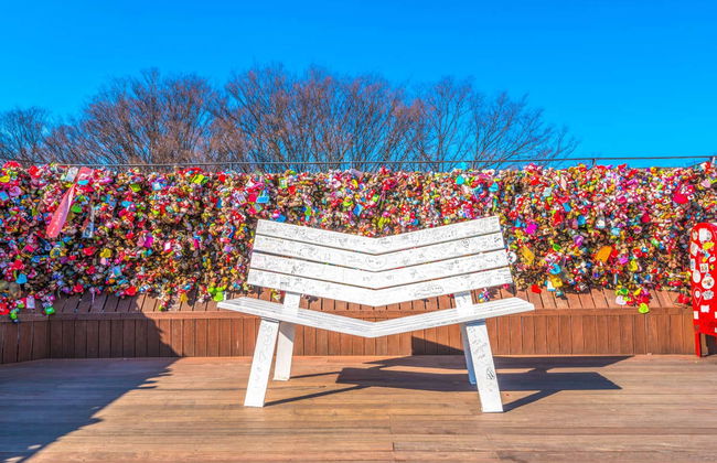 Entrada a la Torre de Seúl - Foto 1