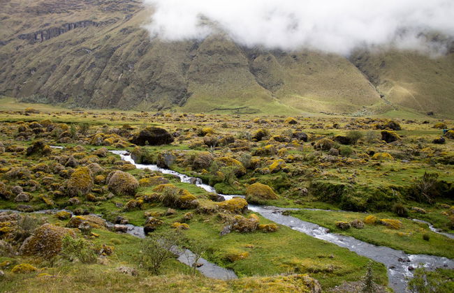 El Altar Volcano 2-Day Hike - Foto 1