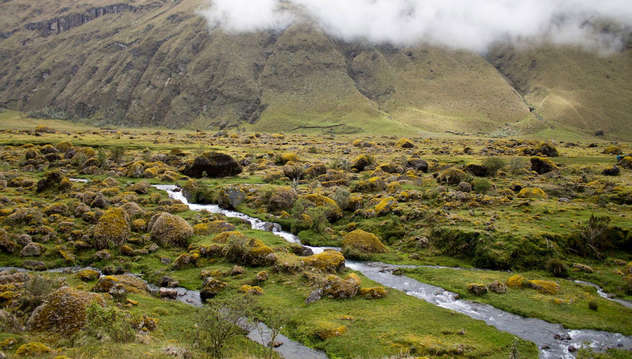 El Altar Volcano 2-Day Hike - Foto 1