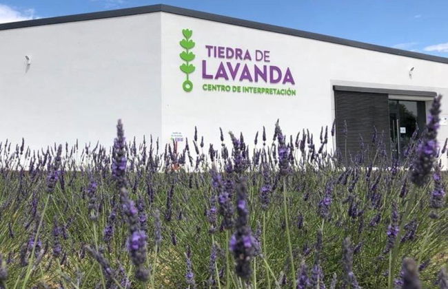 Tour da lavanda por Tiedra - Foto 1