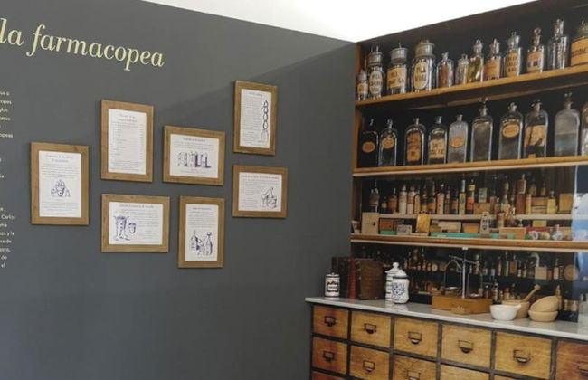 Tour da lavanda por Tiedra - Foto 6