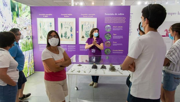 Tour de la lavanda por Tiedra - Photo 3