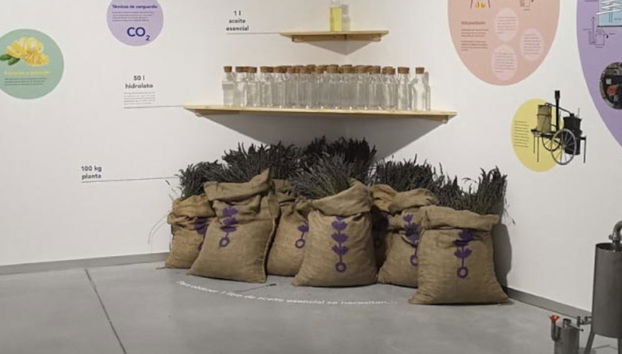 Tour de la lavanda por Tiedra - Photo 2