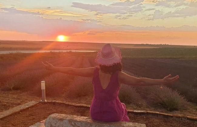 Tour da lavanda por Tiedra - Foto 7