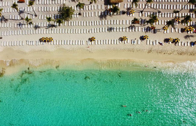 Excursión a Isla Catalina con snorkel - Foto 1