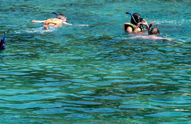Excursion à l'île Catalina avec snorkeling - Photo 6